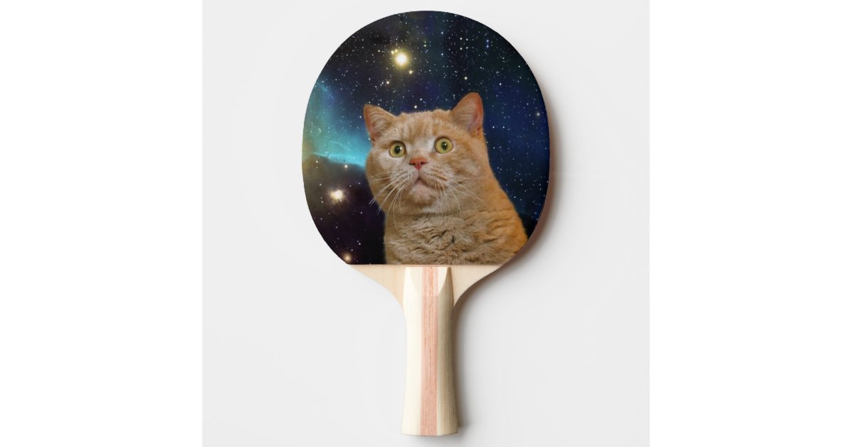 Cat Staring At The Universe Ping Pong Paddle Zazzle Com