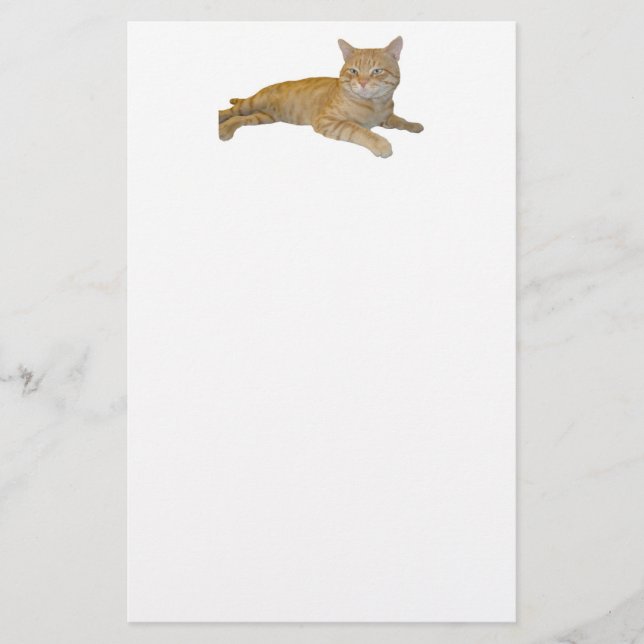 Cat Stationery (Front)