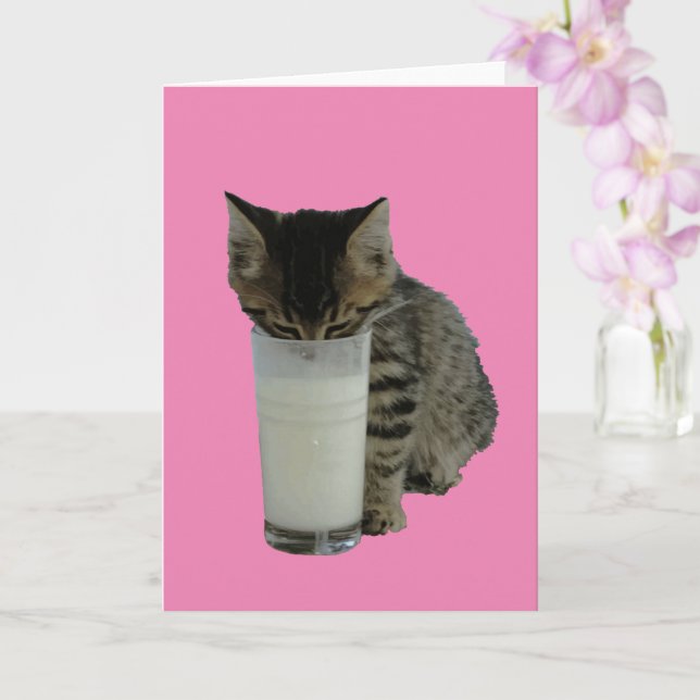Cat Stealing Milk From A Glass Card (Orchid)