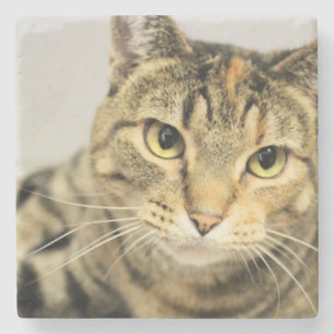 Cat stone coaster