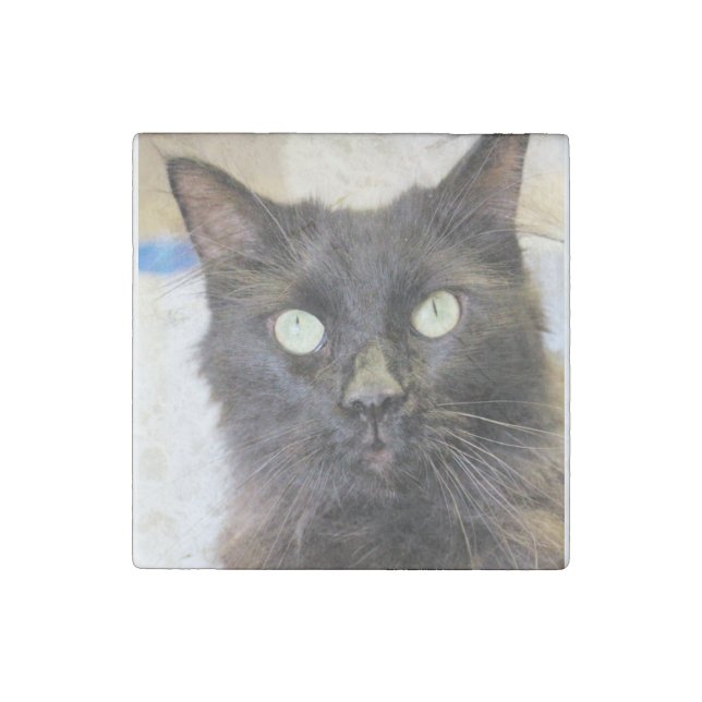 Cat    stone magnet (Front)