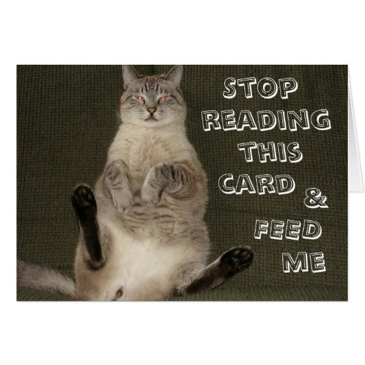 Cat "STOP READING THIS CARD & FEED ME" Card (Front Horizontal)