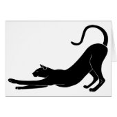 Cat Stretching (Front Horizontal)