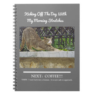 CAT STRETCHING NOTEBOOK