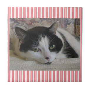 Cat Striped Ceramic Tile