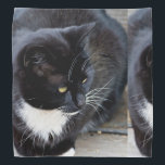 Cat Subject Bandana<br><div class="desc">Cat Subject, Beautiful Cat. Great Gift For Any Animal Admirer.</div>
