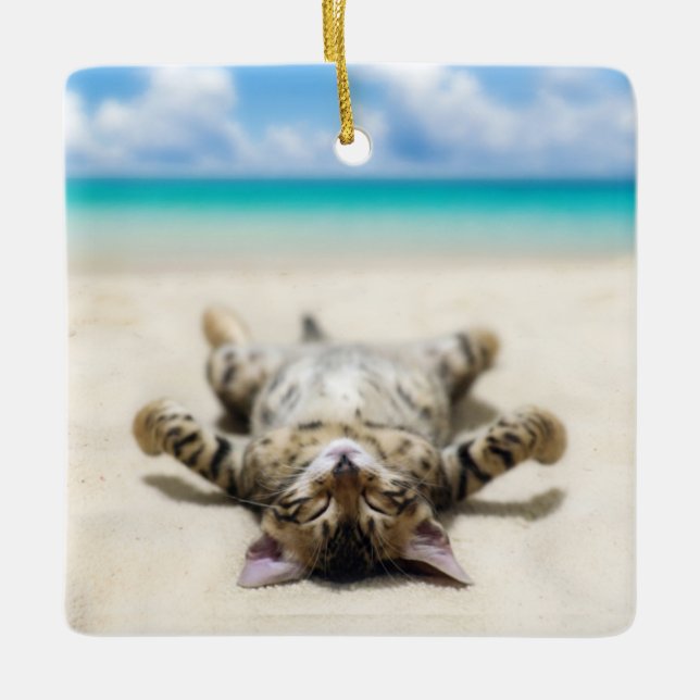 Cat Sunbathing at the Beach  Ceramic Ornament (Front)