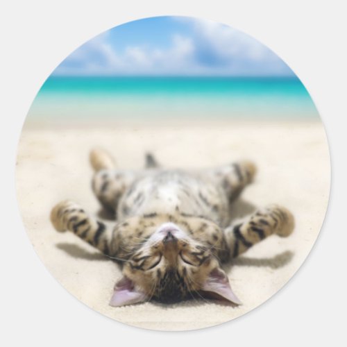 Cat Sunbathing at the Beach  Classic Round Sticker