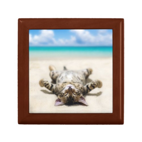 Cat Sunbathing at the Beach  Gift Box