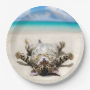Cat Sunbathing at the Beach  Paper Plates