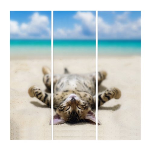 Cat Sunbathing at the Beach Triptych