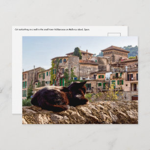 Cat sunbathing on a wall - Valldemossa, Mallorca Postcard