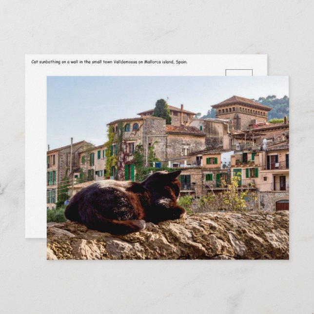 Cat sunbathing on a wall - Valldemossa, Mallorca Postcard (Front/Back)