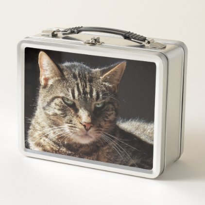 Cat Sunning Itself Metal Lunch Box
