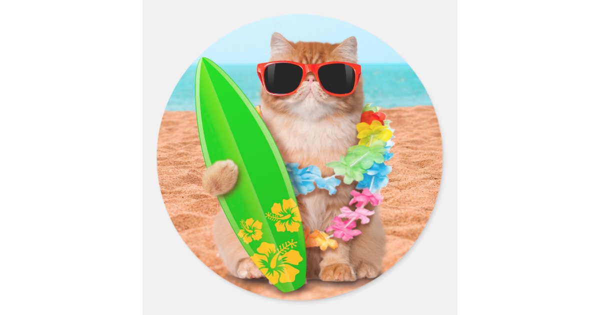 Cat surfer wearing sunglasses - cool cat classic round sticker | Zazzle