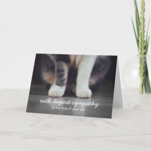 Cat Sympathy Bereavement Greeting Card