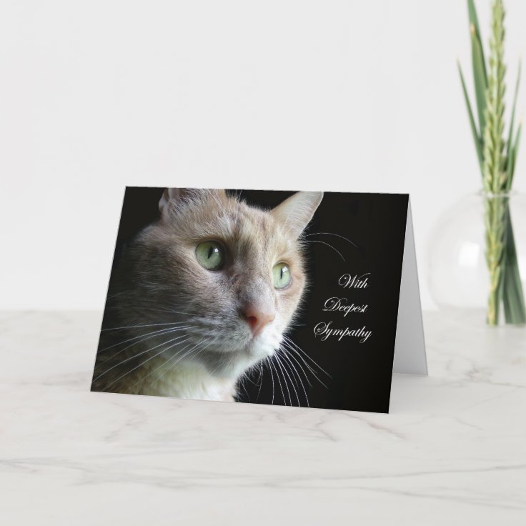 Cat Sympathy Card | Zazzle