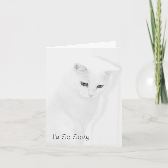 Cat Sympathy Card (Front)