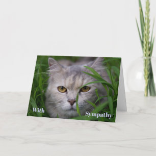 Cat Sympathy Card Personalized Pet Memorial