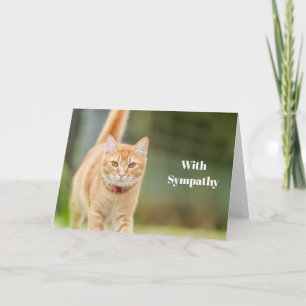 Cat Sympathy Card Personalized Pet Memorial 