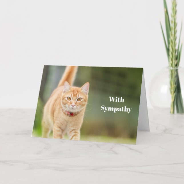Cat Sympathy Card Personalized Pet Memorial  (Front)