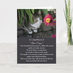 Cat Sympathy Card Personalized photo Pet Memorial
