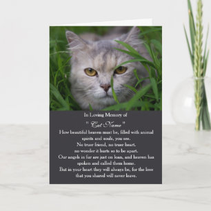 Cat Sympathy Card Personalized photo Pet Memorial