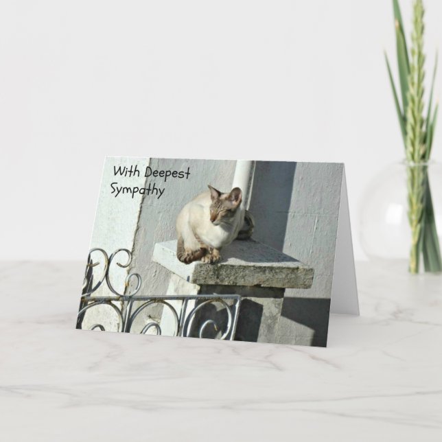 Cat Sympathy Card with Grey and White Cat (Front)