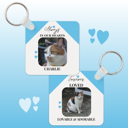 Cat Sympathy Keepsake Pet Memorial blue Keychain