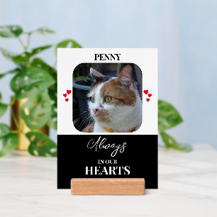 Cat Sympathy Keepsake Pets black print sign Holder