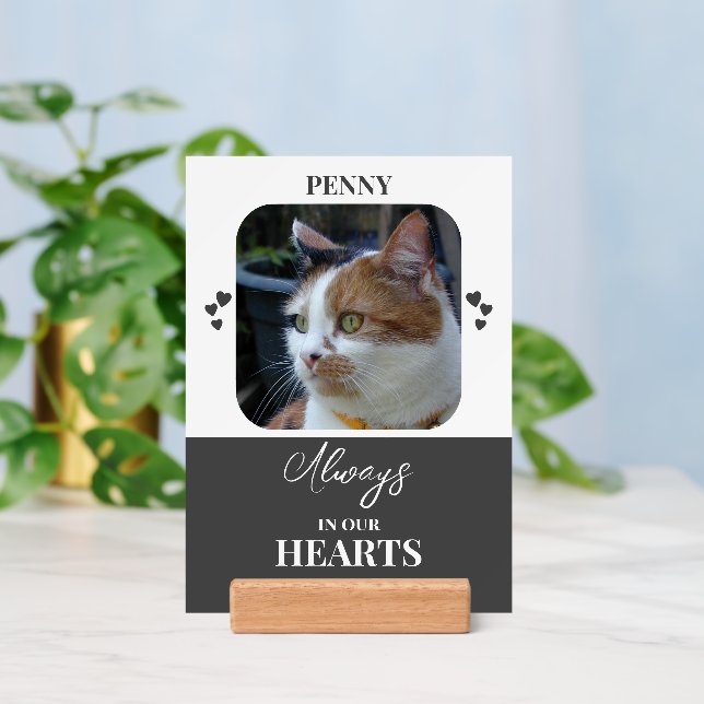 Cat Sympathy Keepsake Pets grey print sign Holder (Insitu 3)