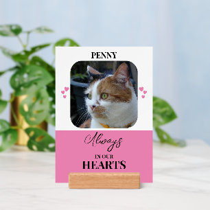 Cat Sympathy Keepsake Pets pink print sign Holder