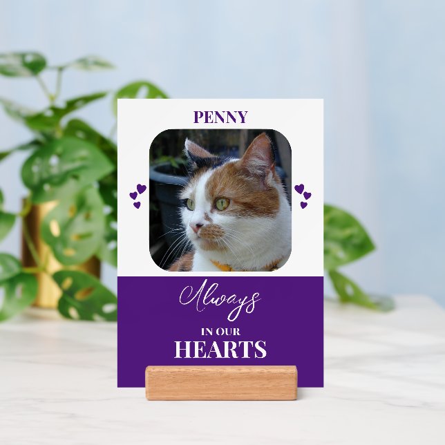 Cat Sympathy Keepsake Pets purple print sign Holder (Insitu 3)