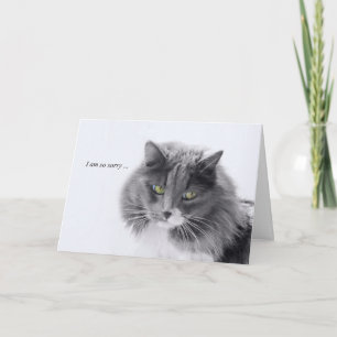 Cat Sympathy Minimalistic Card