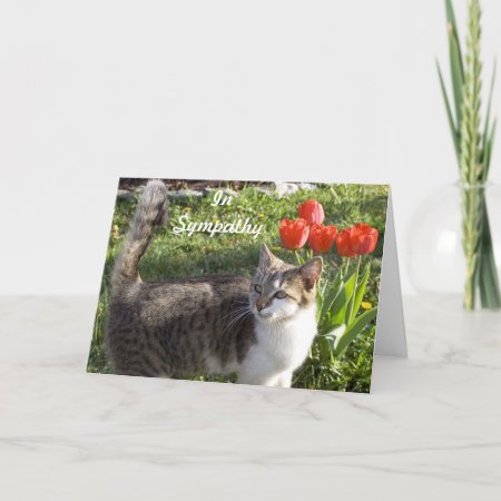 Cat Sympathy With Red Tulips Card