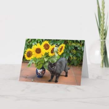 Cat Sympathy With Sunflowers Card by Paws_At_Peace at Zazzle