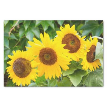 Cat Sympathy With Sunflowers Tissue Paper by Paws_At_Peace at Zazzle