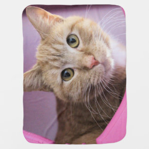 Cat T-Shirt Baby Blanket