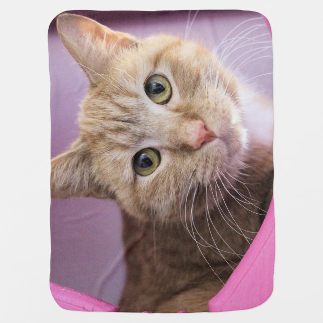 Cat T-Shirt Baby Blanket (Front)