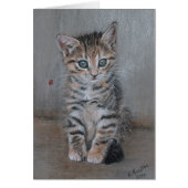 Cat, tabby kitten, just posing, fine art. (Front)