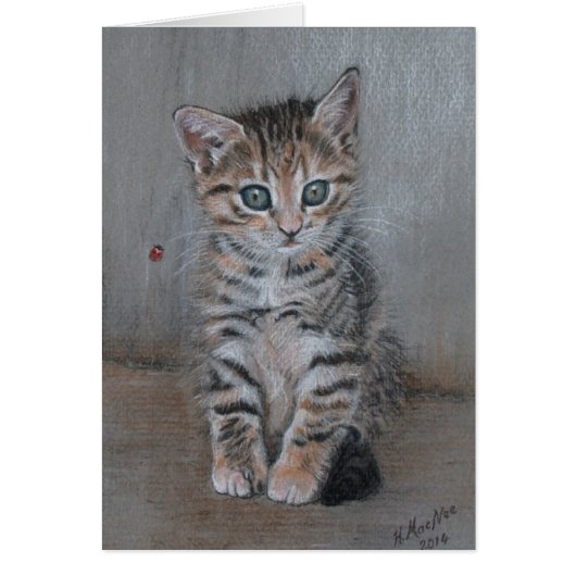 Cat, tabby kitten, just posing, fine art. (Front)