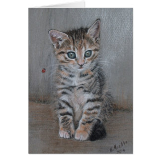 Cat, tabby kitten, just posing, fine art. cards