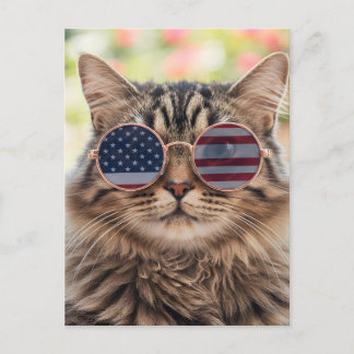 Cat Tabby Paw Feline USA Independence Day 2026 Hol Holiday Postcard