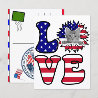 Cat Tabby Paw Feline USA Independence Day 2026 Holiday Postcard