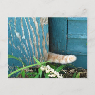 Cat Tail calendar ~ postcard