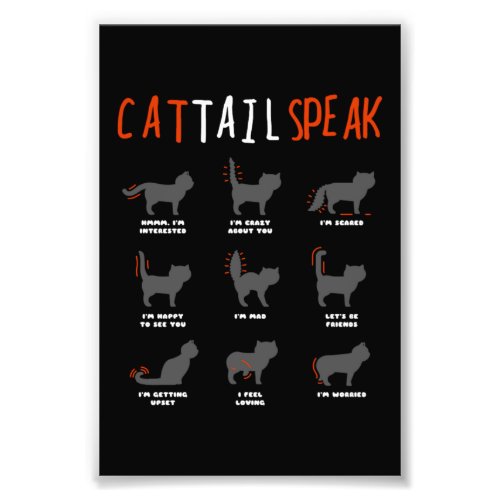 Cat Tail Speak Cat Kitten Meow Animal Photo Print