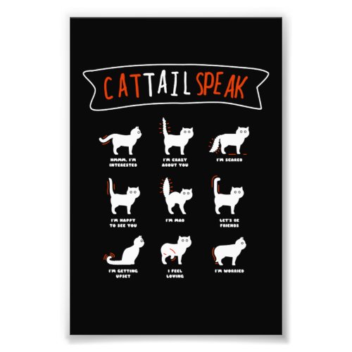 Cat Tail Speak Cat Kitten Meow Animal Photo Print