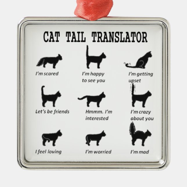 CAT TAIL TRANSLATOR SQUARE ORNAMENT (Front)