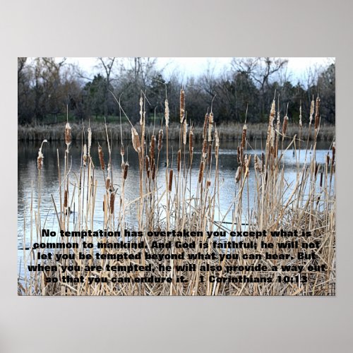 cat tails with bible verse 1 Corinthians 1013 Poster