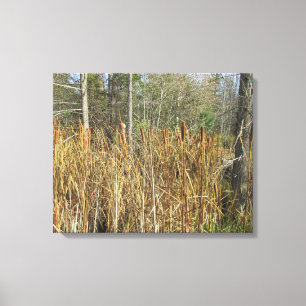 Cat Tales in the Forest Canvas Print
